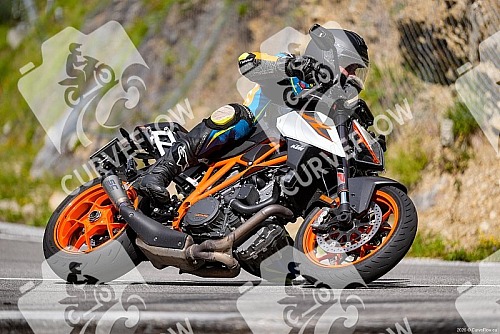 20260728 Wildalpen B24 10:30-14:00 GPS 47.697759, 15.191386